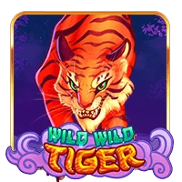 Persentase RTP untuk Wild Wild Tiger oleh Top Trend Gaming